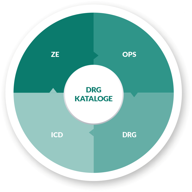 DRG in Verbund zu OPS und ICD-10 Kodierung