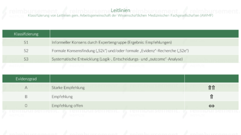 Leitlinien - Wer schreibt sie und zu welchem Zweck werden sie verfasst?